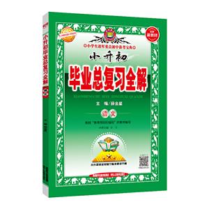 20N小升初毕业总复习全解:语文20-技术教育社区