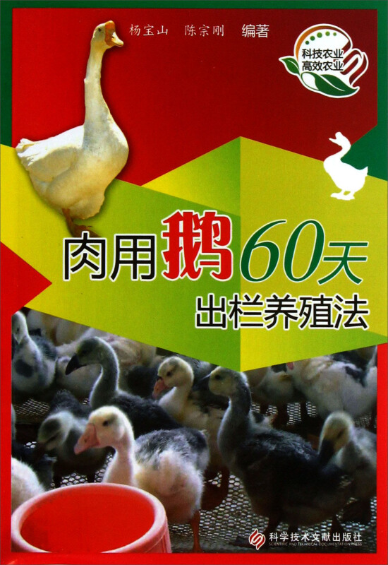 肉用鹅60天出栏养殖法