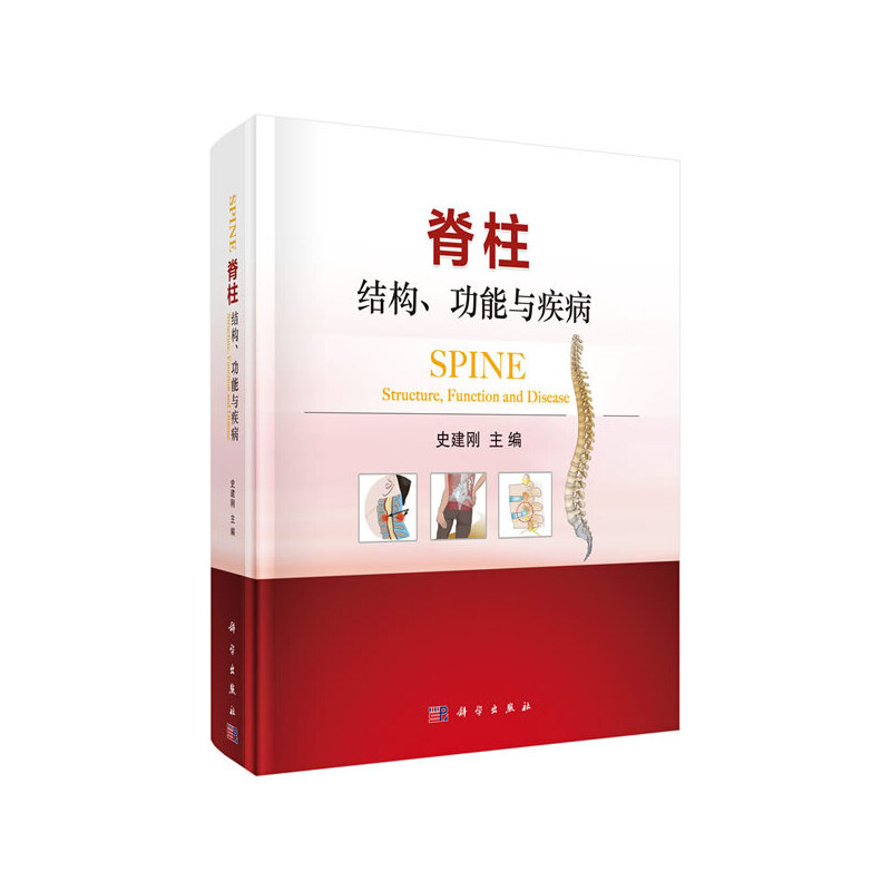 脊柱:结构、功能与疾病:structure, function and disease