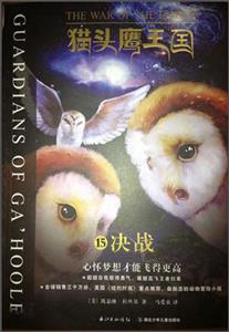 决战-猫头鹰王国-15-技术教育社区