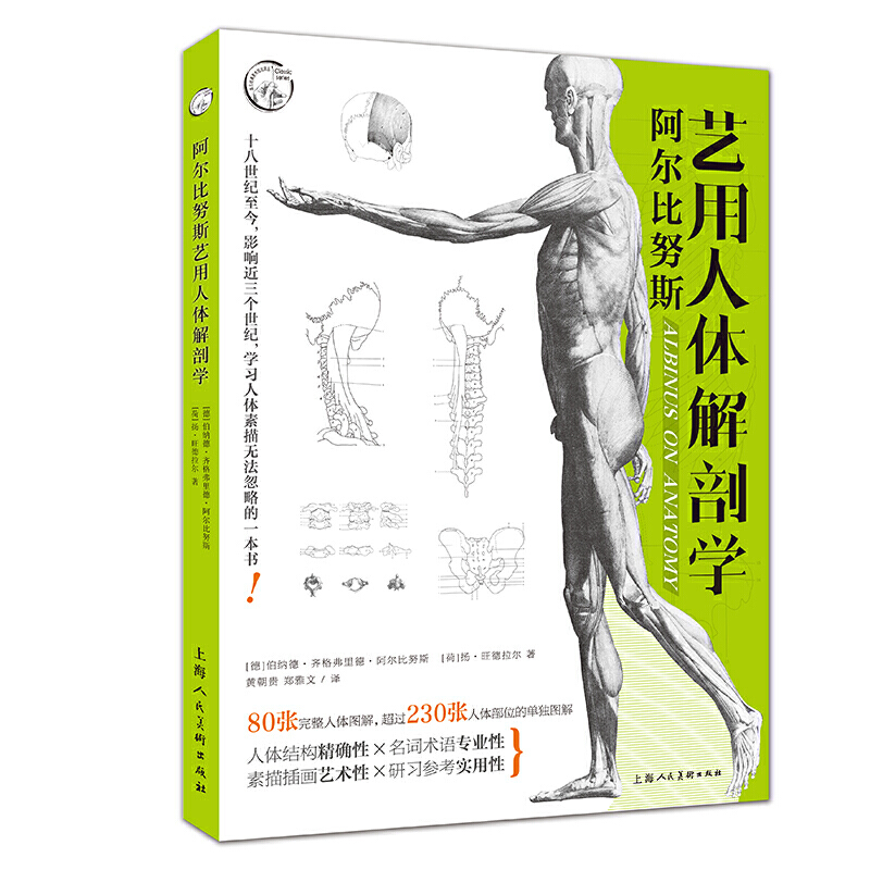 西方经典美术技法译丛阿尔比努斯艺用人体解剖学