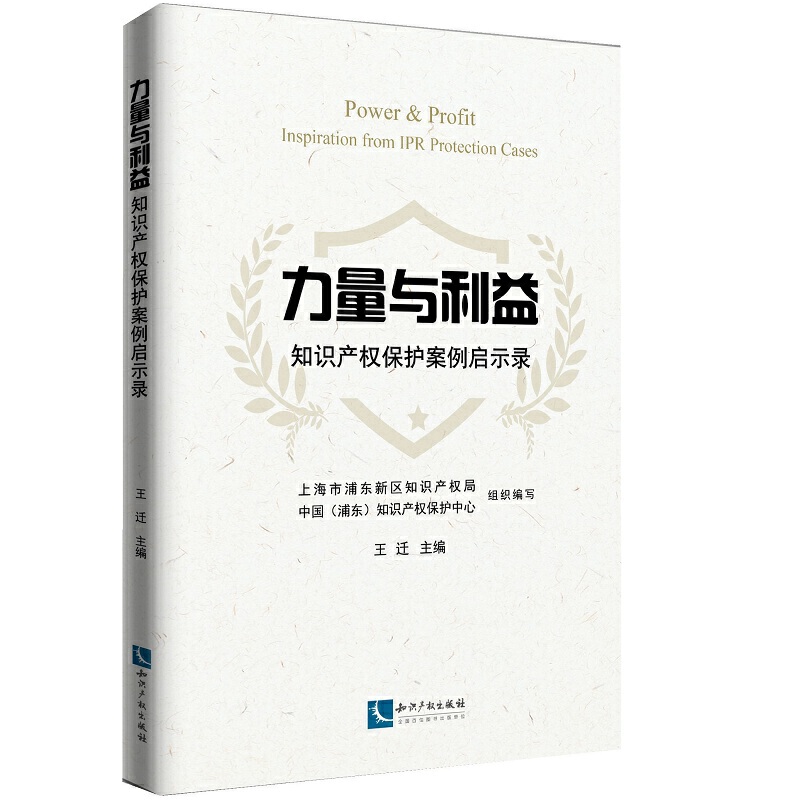 力量与利益:知识产权保护案例启示录:inspiration from IPR protection cases