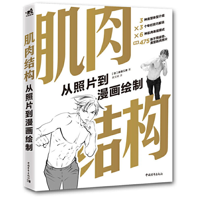 肌肉结构:从照片到漫画绘制