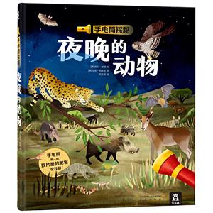 乐乐趣手电筒探秘夜晚的动物-技术教育社区