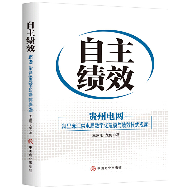 自主绩效:贵州电网:凯里麻江供电局数字化建模与绩效模式观察