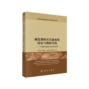 咸化湖相页岩油地质特征与勘探实践-技术教育社区