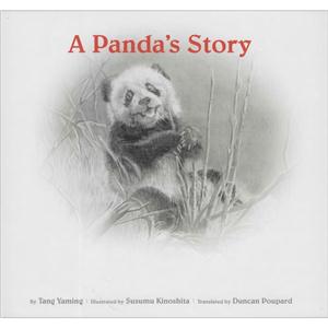 熊猫的故事-技术教育社区