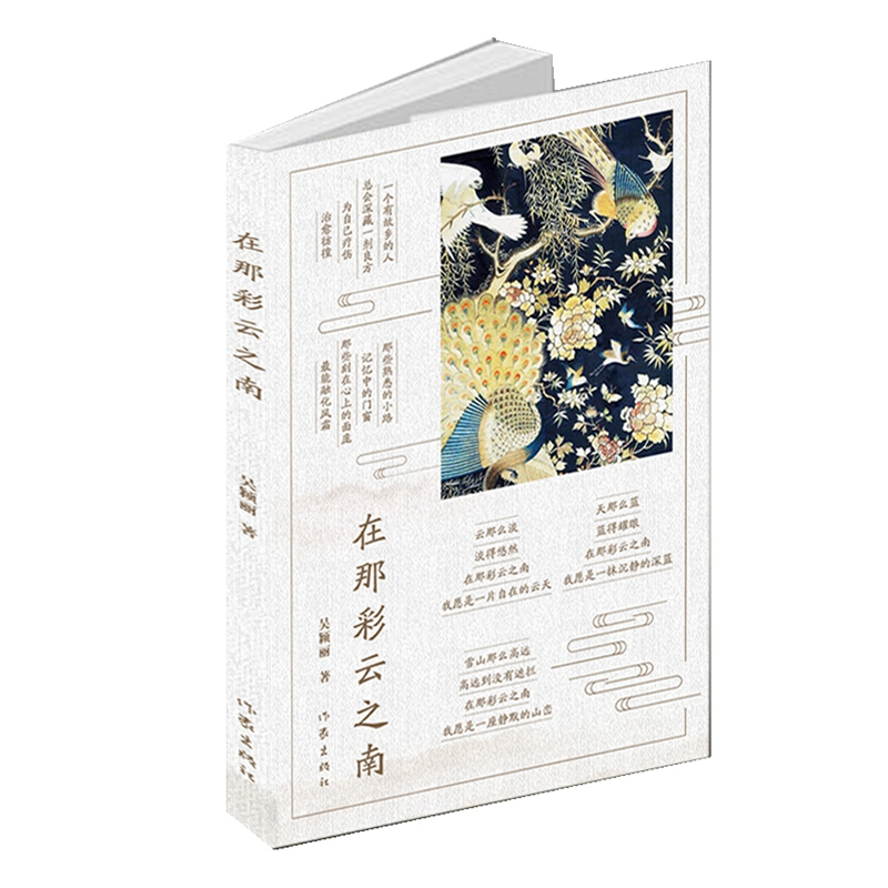 在那彩云之南