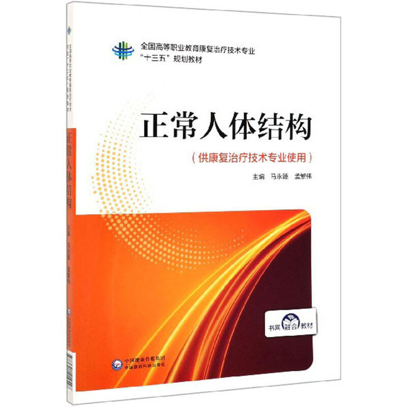正常人体结构