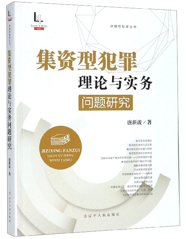 集资型犯罪理论与实务问题研究