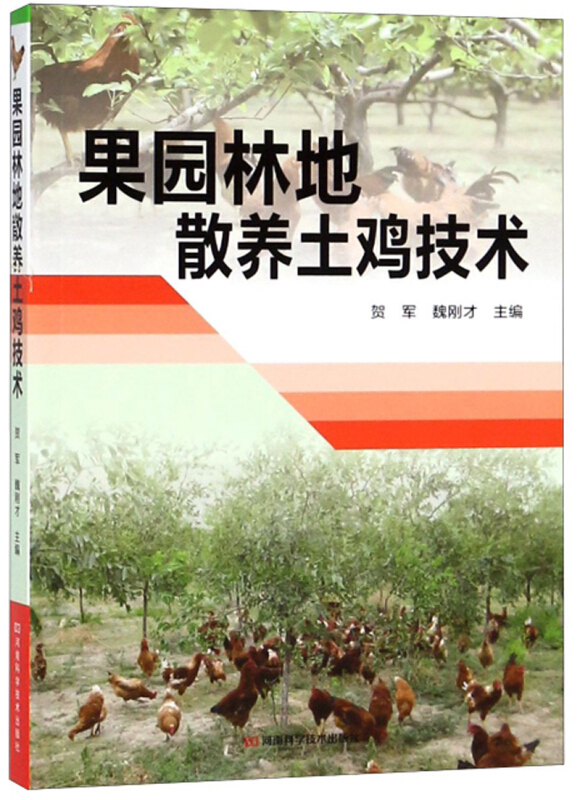 果园林地散养土鸡技术