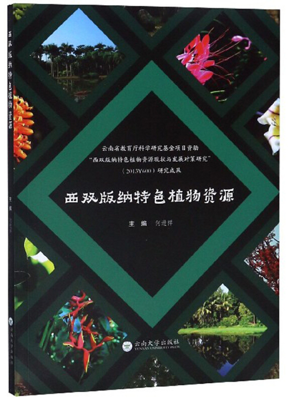 西双版纳特色植物资源