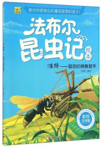 蛛蜂:聪明的捕蛛猎手-技术教育社区