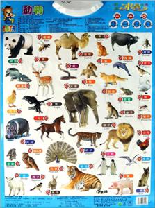 动物-有声水晶挂图-技术教育社区