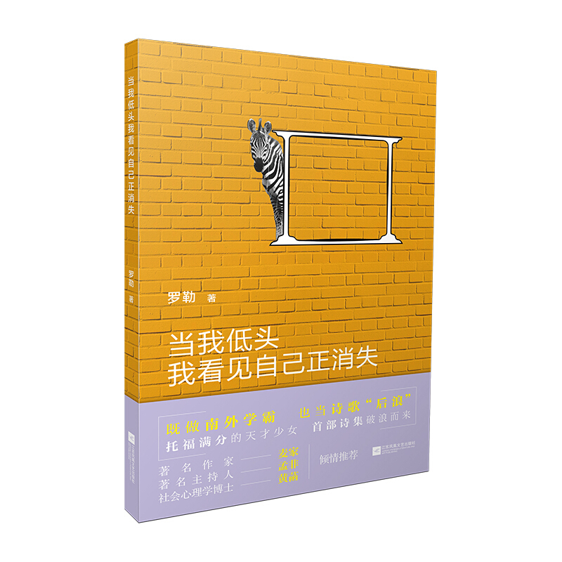 当我低头我看见自己正消失