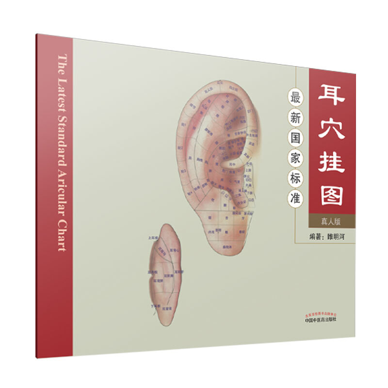 最新国家标准耳穴挂图(真人版)书1本
