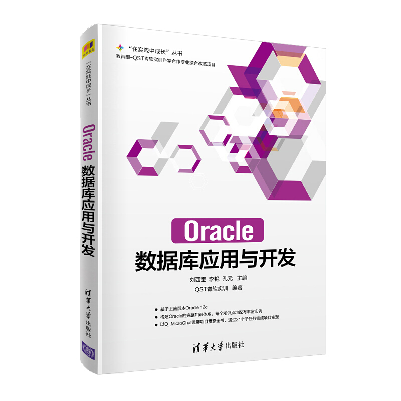 “在实践中成长”丛书Oracle数据库应用与开发/刘西奎 李艳 孔元