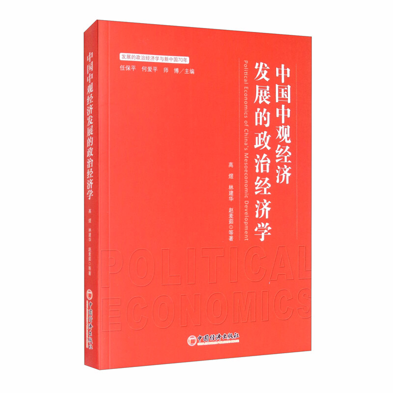 中国中观经济发展的政治经济学研究