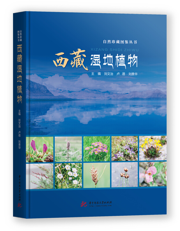 西藏湿地植物