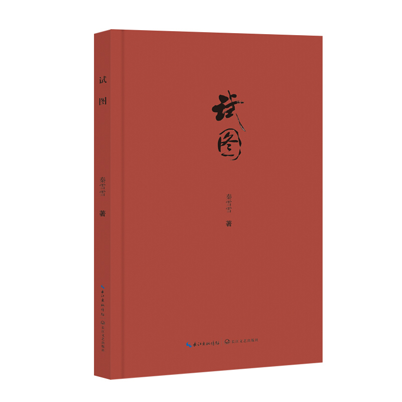 试图