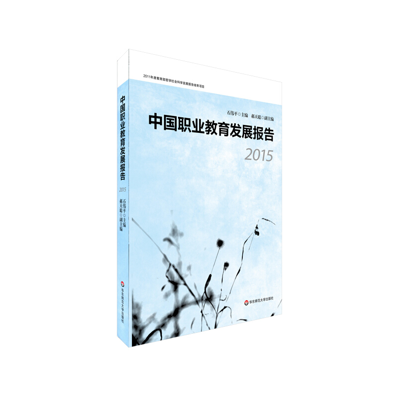 中国职业教育发展报告(2015)