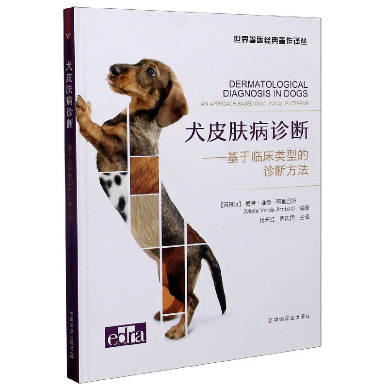 犬皮肤病诊断:基于临床类型的诊断方法