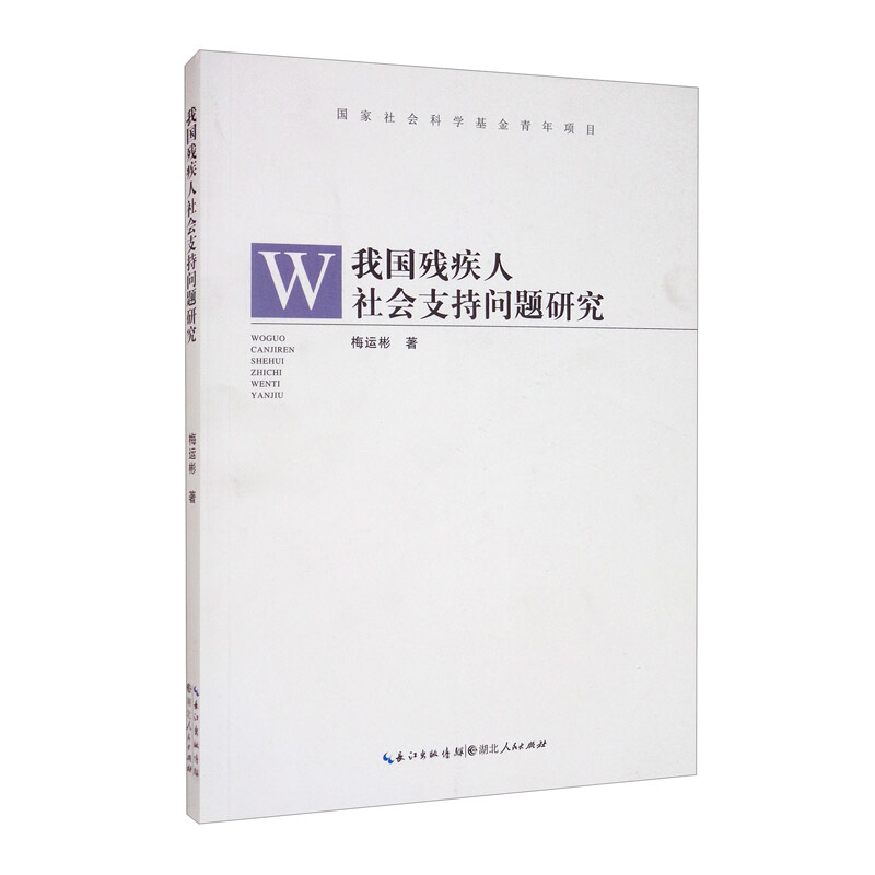 我国残疾人社会支持问题研究