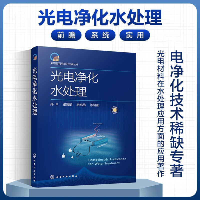 太阳能利用前沿技术丛书--光电净化水处理