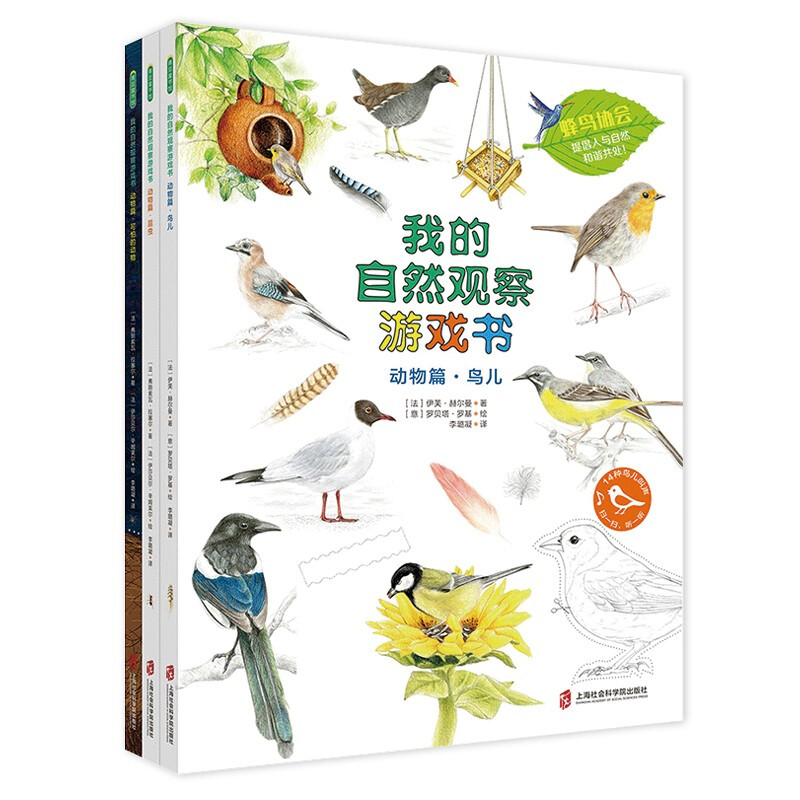 青豆童书馆·我的自然观察游戏书·动物篇:昆虫·鸟儿·可怕的动物  (彩绘版)(全三册)