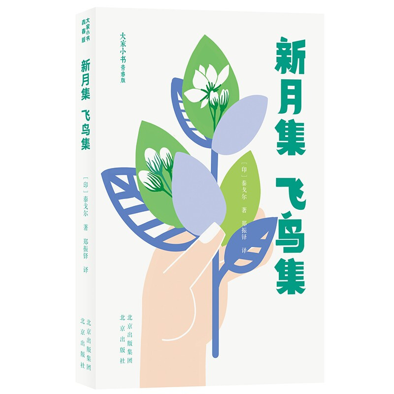 大家小书青春版:新月集·飞鸟集