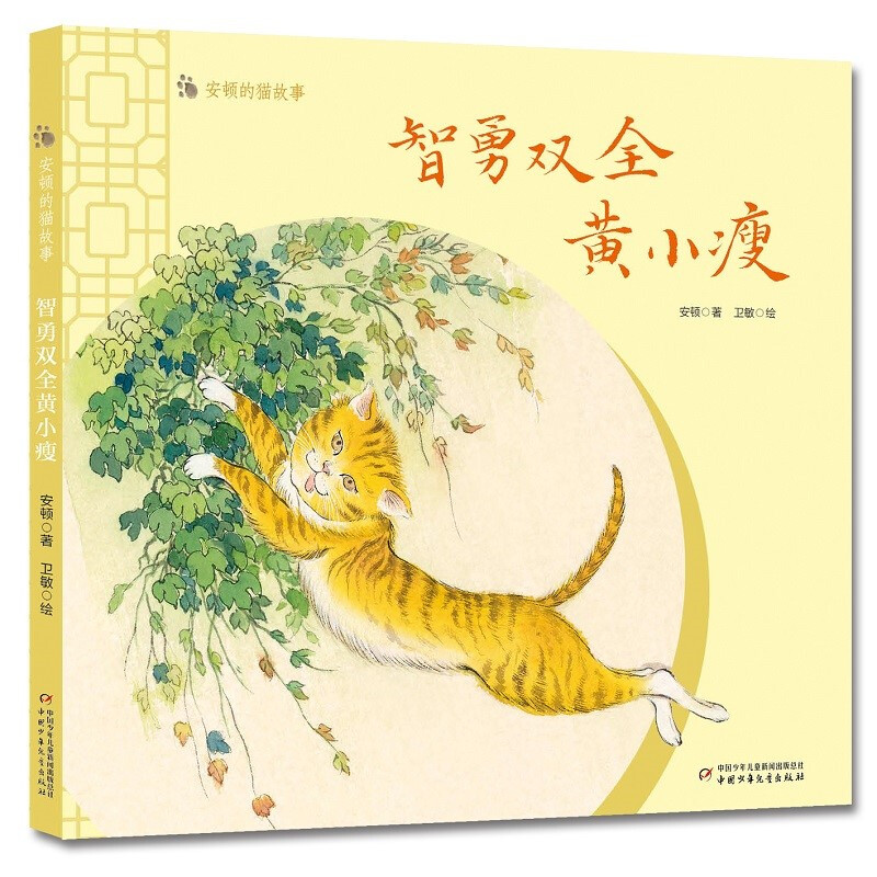 安顿的猫故事——安全第一花小聪