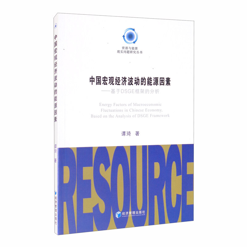 中国宏观经济波动的能源因素——基于DSGE框架的分析