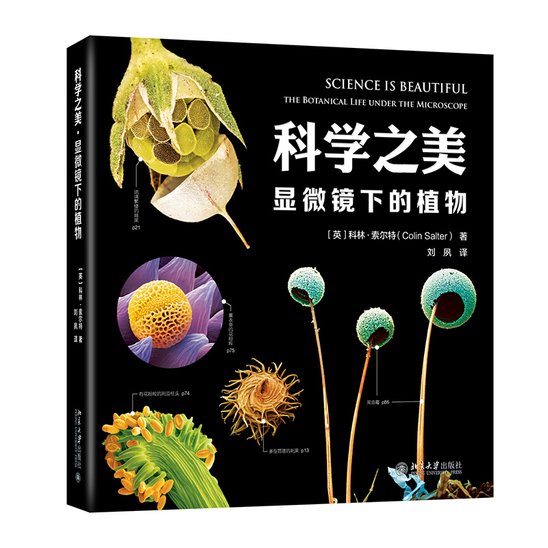 无科学之美·显微镜下的植物