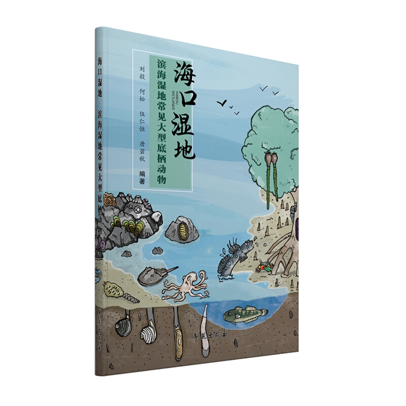 海口湿地.滨海湿地常见大型底栖动物