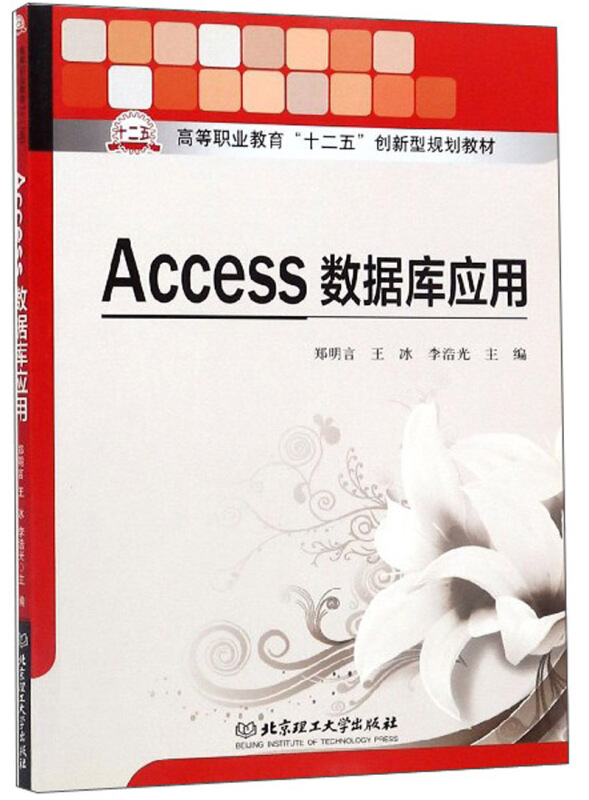 ACCess数据库应用