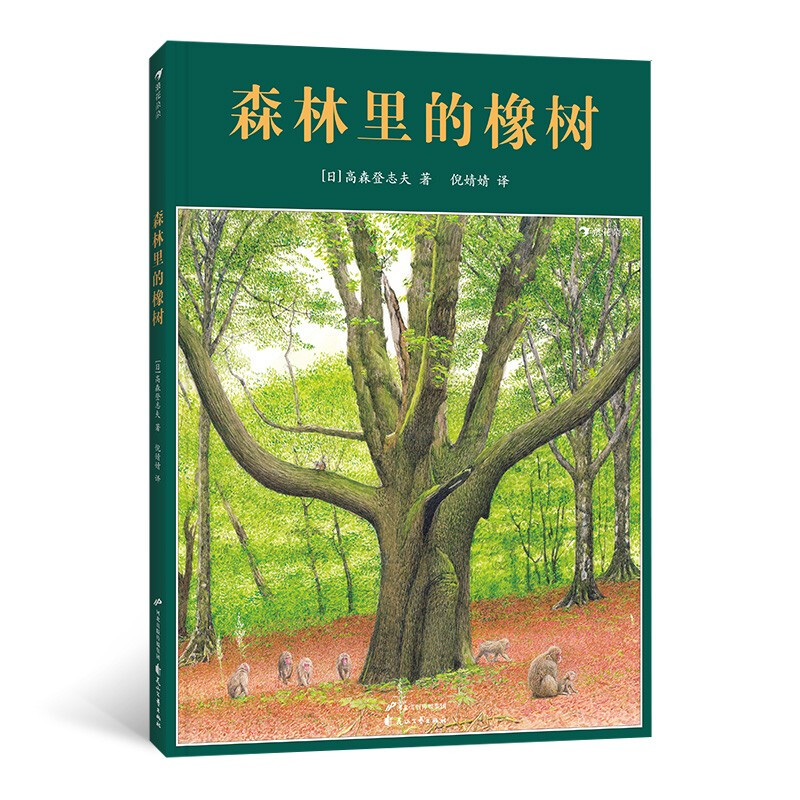 生命教育自然绘本:森林里的橡树  (精装绘本)