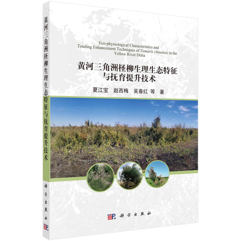 黄河三角洲柽柳生理生态与抚育技术