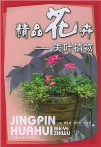 精品花卉-美叶植物-技术教育社区