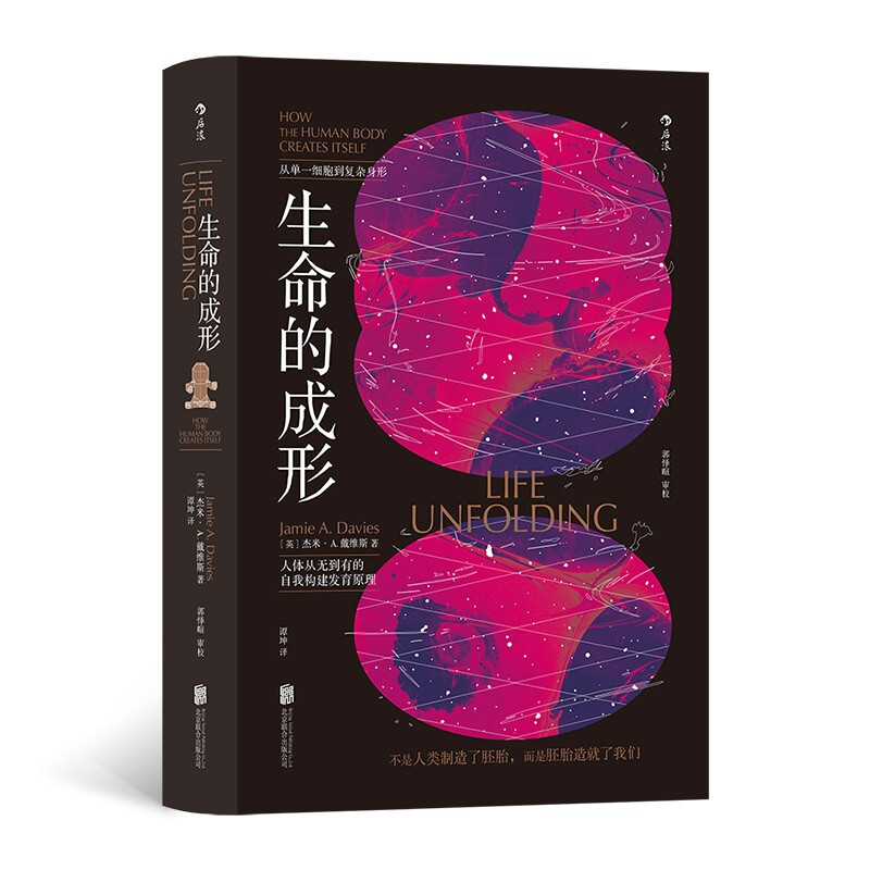 生命的成形