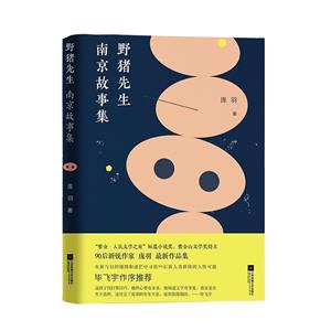 野猪先生:南京故事集-技术教育社区