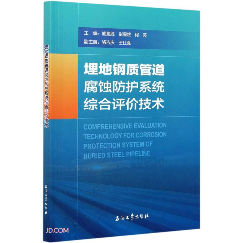 埋地钢质管道腐蚀防护系统综合评价技术