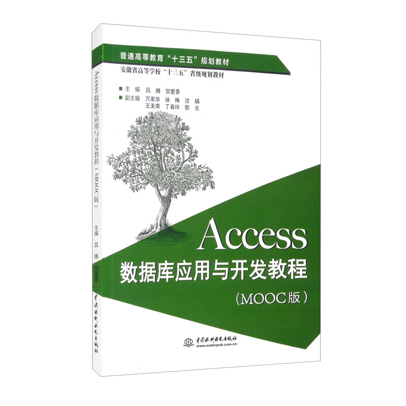 Access数据库应用与开发教程:MOOC版