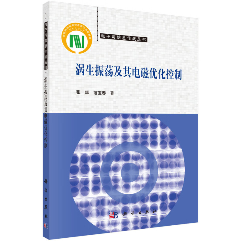 涡生振荡及其电磁优化控制/电子与信息作战丛书