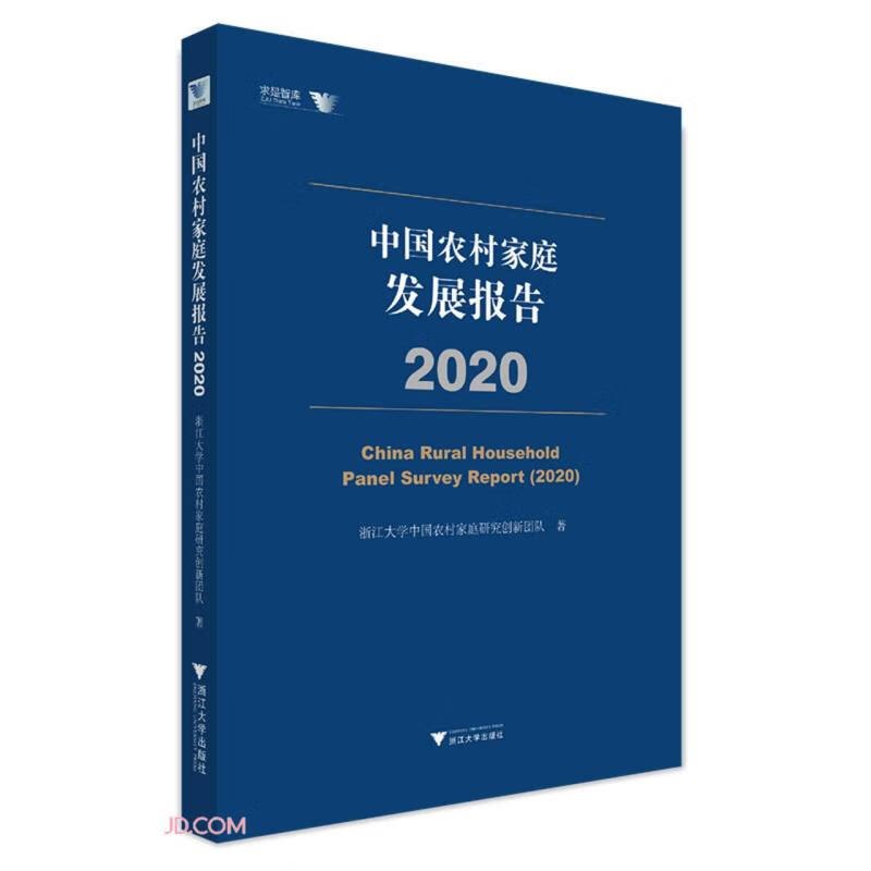 中国农村家庭发展报告(2020)