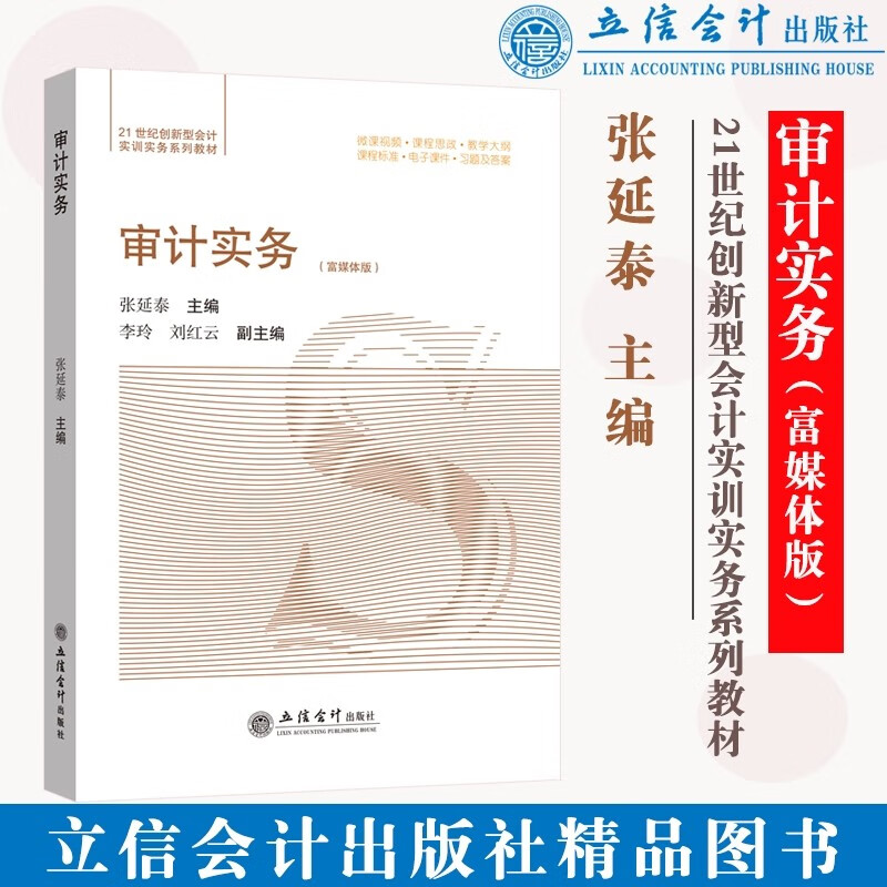 审计实务(富媒体版21世纪创新型会计实训实务系列教材)