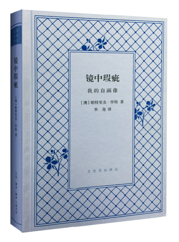 镜中瑕疵-我的自画像(九品)
