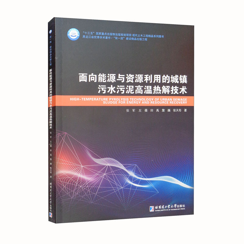 面向能源与资源利用的城镇污水污泥高温热解技术