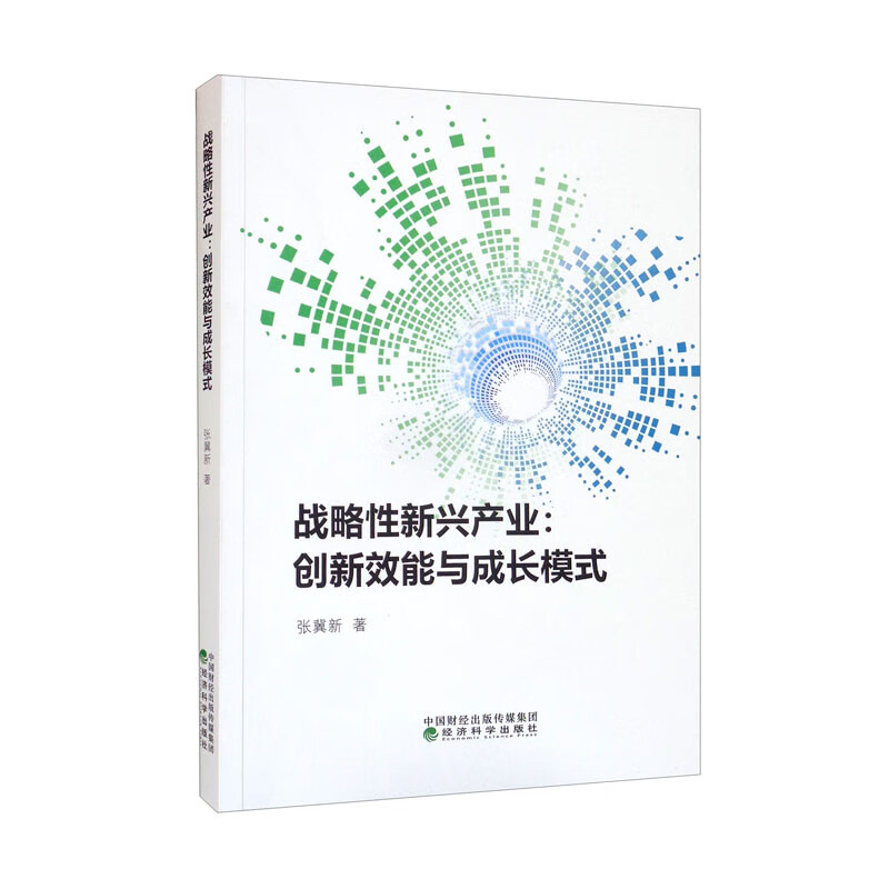 战略性新兴产业--创新效能与成长模式