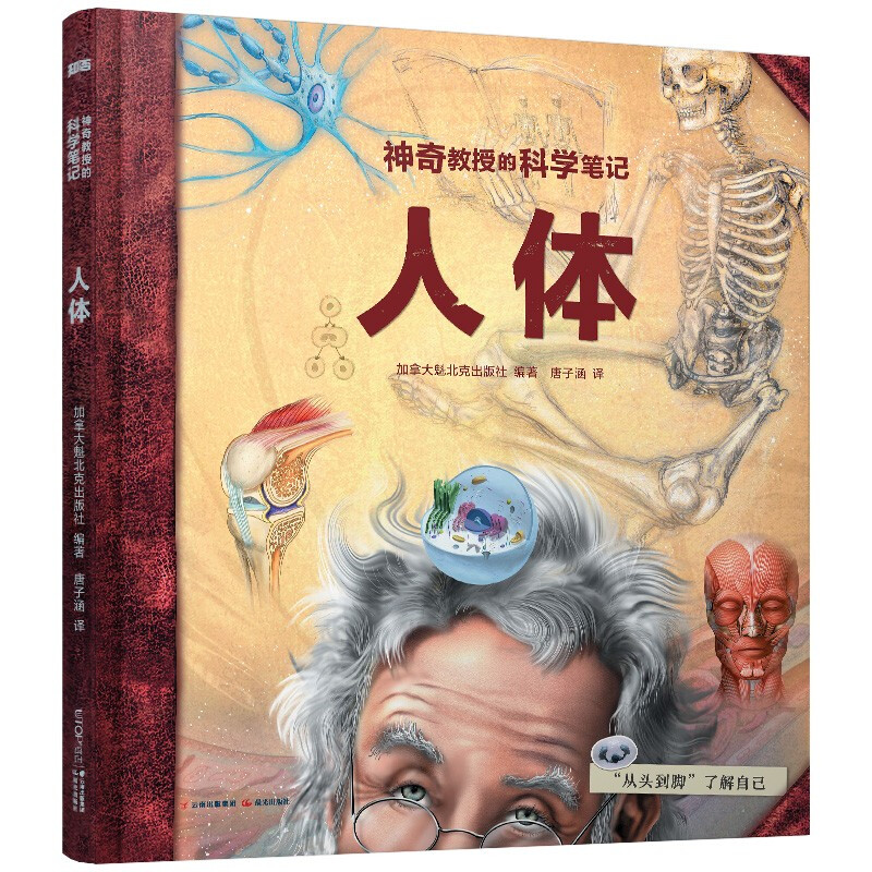 【知否·探索】神奇教授的科学笔记:人体