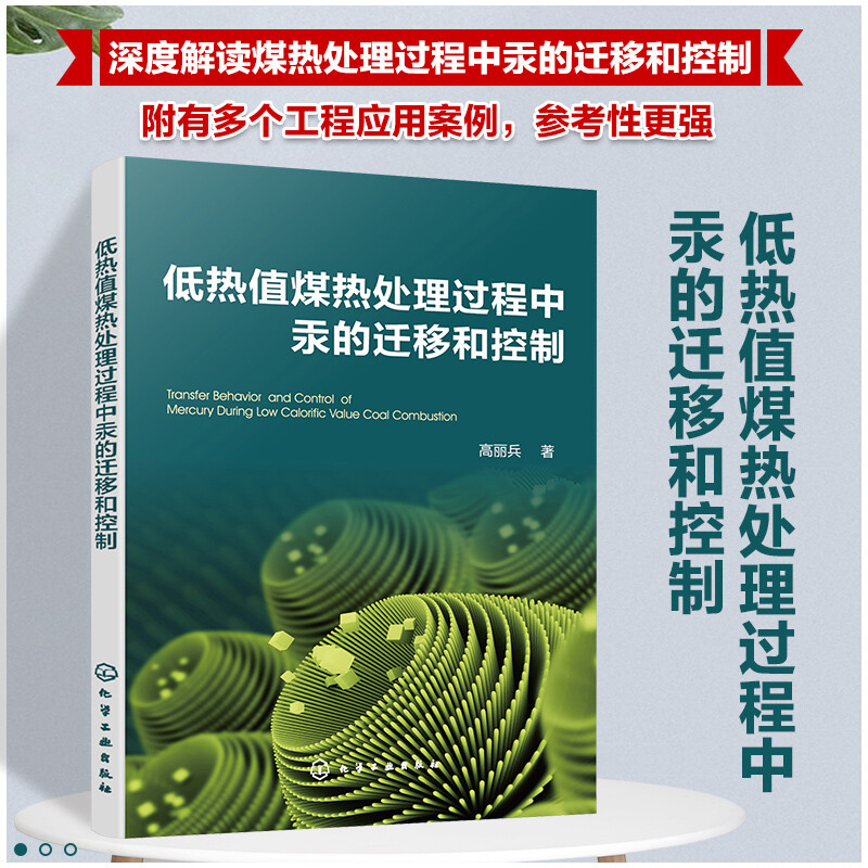 低热值煤热处理过程中汞的迁移和控制